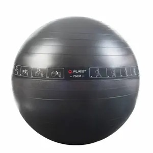 Bolas de fitness Pure2Improve 75cm image-0