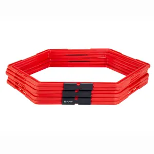 Zeshoek van behendigheid Pure2Improve image-0