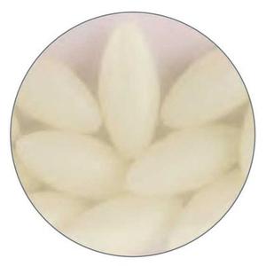 pe361545-cuentas-daiwa-riz-long-fosfo-xl