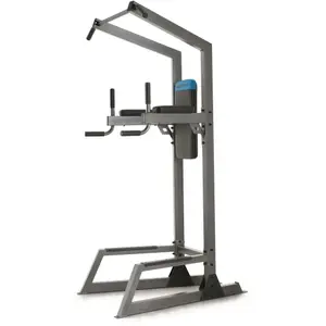 Roman chair ProForm Carbon Strength Power Tower image-0