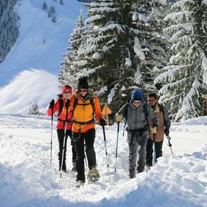 Bastones de marcha nórdica TSL Tactil C50 Spike image-2