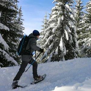 Bastones de marcha nórdica TSL Tactil C50 Spike image-3