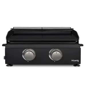 Plancha 2 brûleurs en u plancha H.Koenig image-0