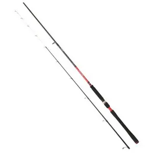Spinning rods Daiwa Powermesh 242 10-40g image-0