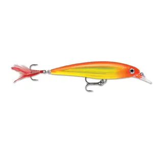 Lure Rapala x-rap® 10 cm image-0