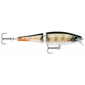 Leurre Rapala bx swimmer 22g image-0
