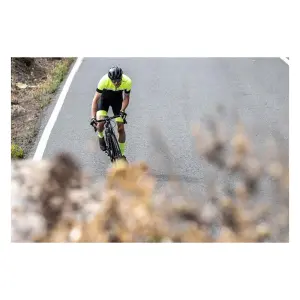 Maillot manches longues Rogelli Course image-4