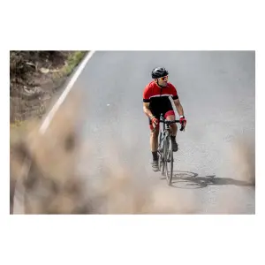 Maillot manches longues Rogelli Course image-4