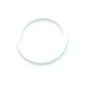 Fork rebound damper piston slide ring WSS Fox image-0