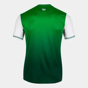 Hemma tröja Hibernian FC 2021/22 image-1