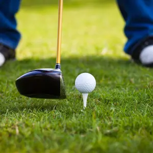 Golf-Tees Lignum (x16) image-1