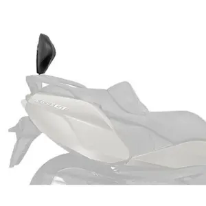 Dosseret scooter Shad BMW c650gt