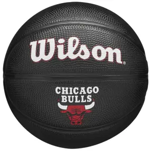 Mini palloncini nba Chicago Bulls image-0