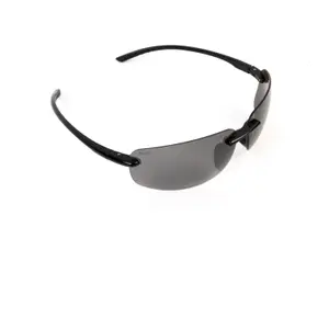 Glasses Avid Seethru beam polarised image-0