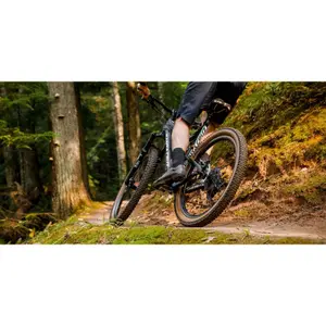 Leichter und flexibler Reifen Teravail Ehline