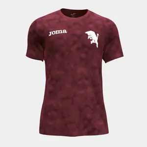 Maillot d'échauffement Torino FC 2022/23 image-0