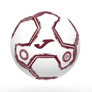 Ballon Torino FC 2021/22 image-0