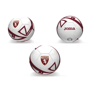 Ballon Torino FC 2022/23 image-0