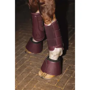 Closed front gaiters for horses ANKY Proficient image-2