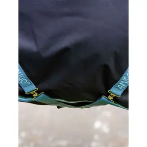 Coperta da esterno per cavalli Horseware Amigo Bravo 12 Turnout 50g image-4