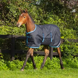 Εξωτερικό κάλυμμα για άλογο Horseware Amigo Foal Rug 50 g image-1