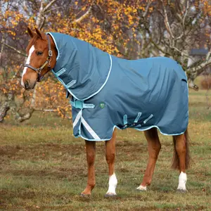 Outdoor-Decke für Pferde Horseware Amigo AmEco 12 Plus Turnout 0g image-1