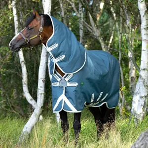 Outdoor-Decke für Pferde Horseware Amigo AmEco 12 Plus Turnout 0g image-2