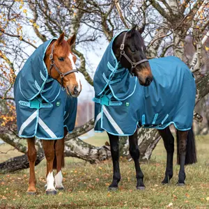 Outdoor-Decke für Pferde Horseware Amigo AmEco 12 Plus Turnout 0g image-5