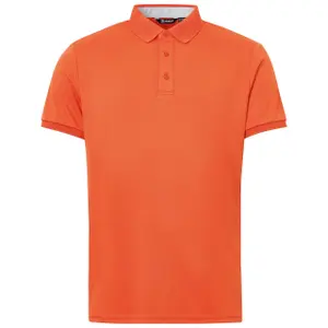 Polo Abacus Hammel image-0