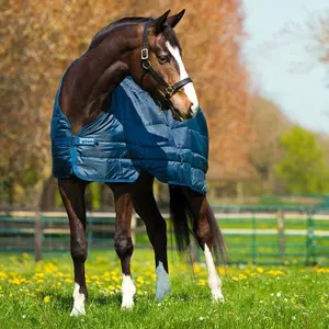 Επένδυση για κάλυμμα αλόγου 300g Horseware image-3