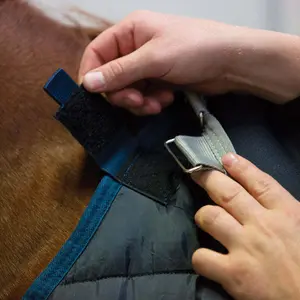 Επένδυση για κάλυμμα αλόγου 300g Horseware image-5