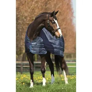 400g Horse Blanket Liner Horseware image-0