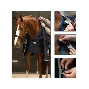 Doublure voor dekbed voor paard 200g Horseware image-1