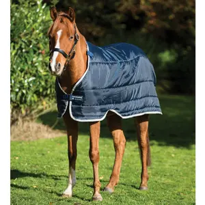 Doublure voor dekbed voor paard 200g Horseware image-2