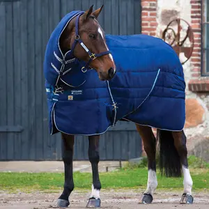 Stable blanket for horses Horseware Rambo Stable Plus Hvy VL 450 g image-2