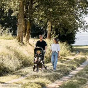 Kinderwagen ABC Design Salsa 5 Run image-2