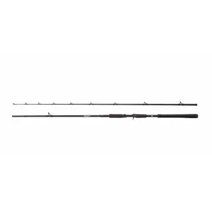 Canne casting Abu Garcia Beast 50-200g image-0