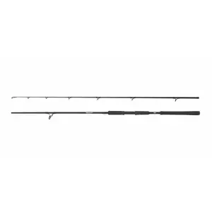 Spinnrute Abu Garcia Beast Pike 842XH 30-110g image-0