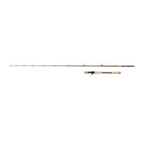 Caña de lanzar Abu Garcia Beast Pro2 40-100 g