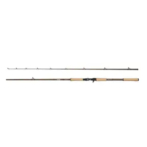 Beicastrute Abu Garcia Beast Pro2 40-140 g