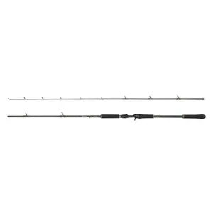 Canne casting Abu Garcia Beast X2 60-230g