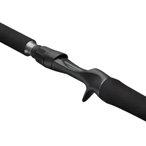 Canne casting Abu Garcia Beast X2 60-230g image-1