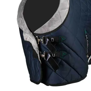 Manta acolchoada para cavalos Acavallo 200g image-2