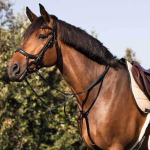 Martingale for horse Acavallo image-1