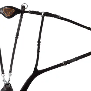 5-point leather horse hunting collar Acavallo Anatomical image-2