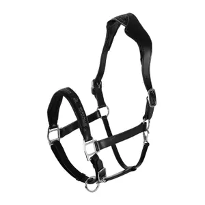 Cabezada para caballo con forro de cuero de ternera Acavallo Ergonomic Pollguard image-0