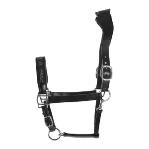 Cabezada para caballo con forro de cuero de ternera Acavallo Ergonomic Pollguard image-1
