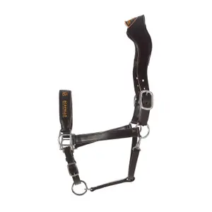 Cabezada para caballo con forro de cuero de ternera Acavallo Ergonomic Pollguard image-1