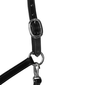 Leather halter for horses Acavallo Ergonomic Pollguard Muserolle image-2