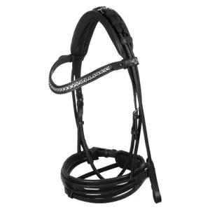 Combined leather bridle with noseband Acavallo Stlex image-1
